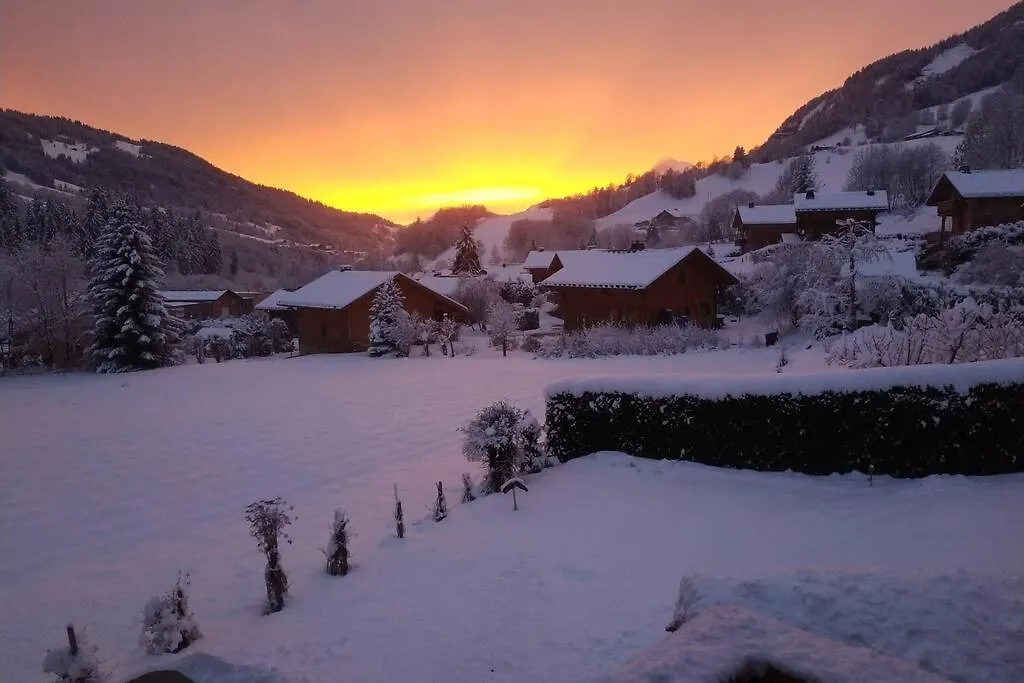Apartment A4 Km De Megeve Tres Joli Studio Avec Jacuzzi ,Vue Sur Les Montagnes Au Calme Praz-sur-Arly