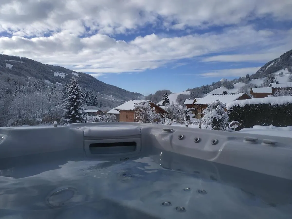 A4 Km De Megeve Tres Joli Studio Avec Jacuzzi ,Vue Sur Les Montagnes Au Calme Praz-sur-Arly Apartment