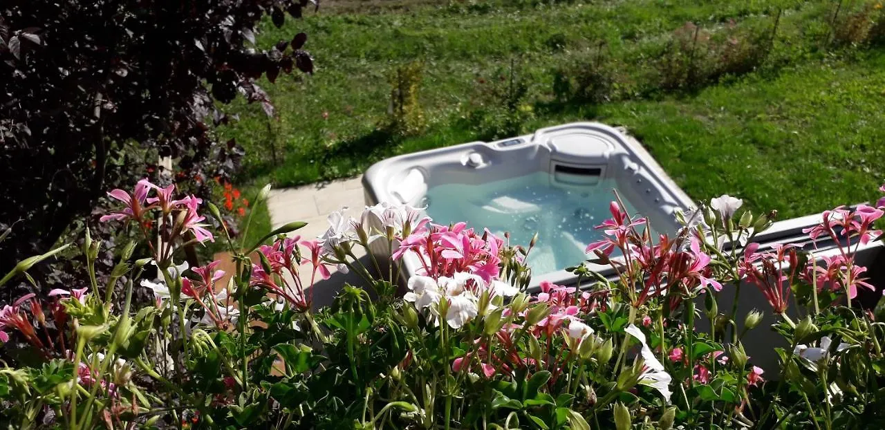 A4 Km De Megeve Tres Joli Studio Avec Jacuzzi ,Vue Sur Les Montagnes Au Calme Praz-sur-Arly Apartment